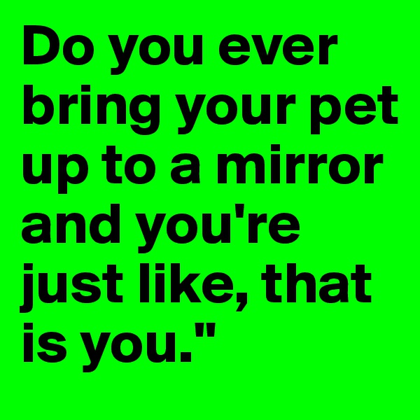 Do you ever bring your pet up to a mirror and you're just like, that is you."
