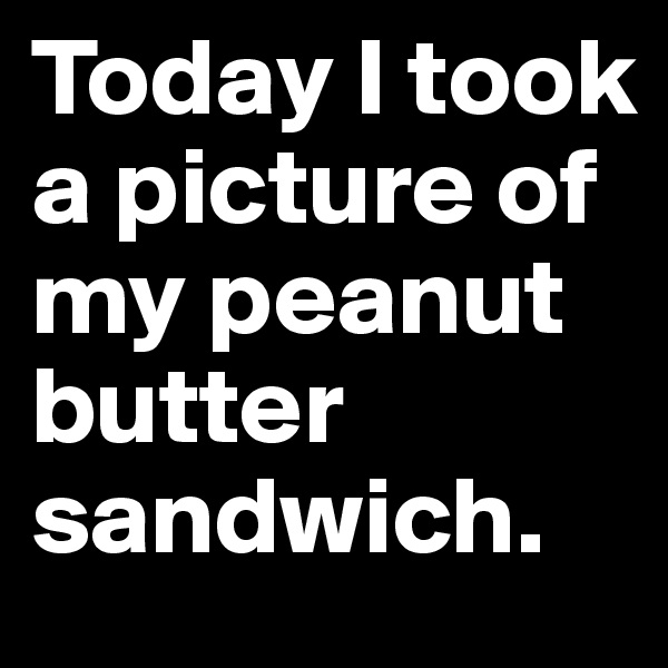 Today I took a picture of my peanut butter sandwich.