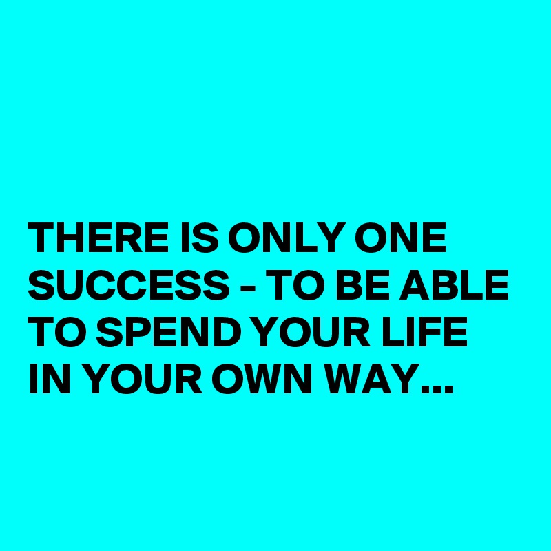 



THERE IS ONLY ONE SUCCESS - TO BE ABLE TO SPEND YOUR LIFE IN YOUR OWN WAY...

