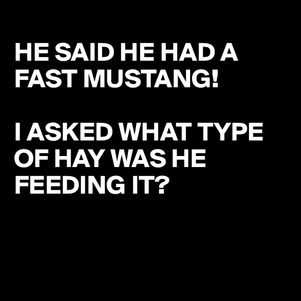 
HE SAID HE HAD A FAST MUSTANG!

I ASKED WHAT TYPE OF HAY WAS HE FEEDING IT?


