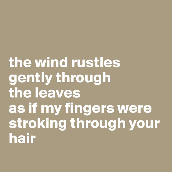 
  

the wind rustles gently through 
the leaves 
as if my fingers were stroking through your hair 
