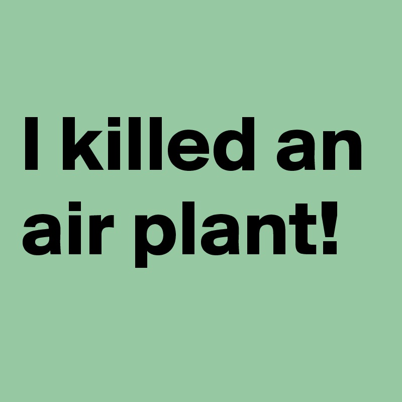 
I killed an air plant!
