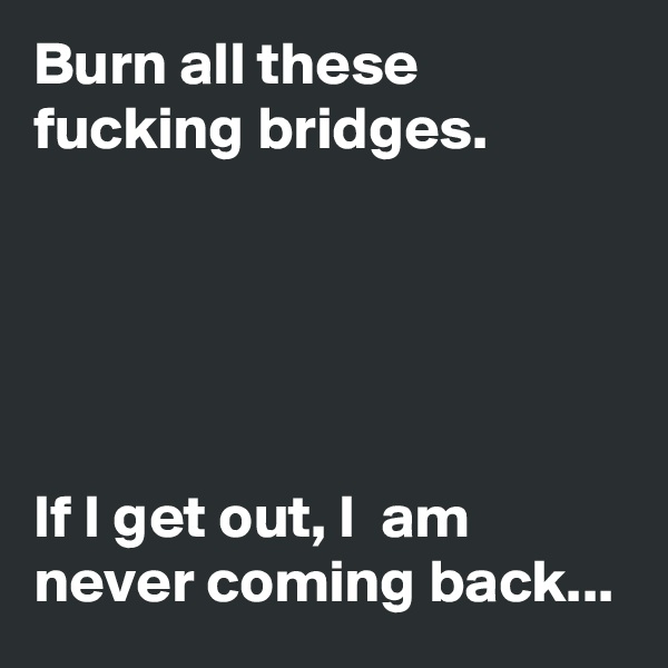 Burn all these fucking bridges. 





If I get out, I  am never coming back... 
