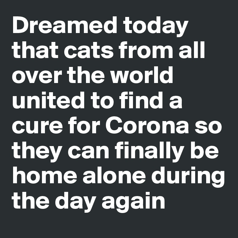 Dreamed today that cats from all over the world united to find a cure for Corona so they can finally be home alone during the day again