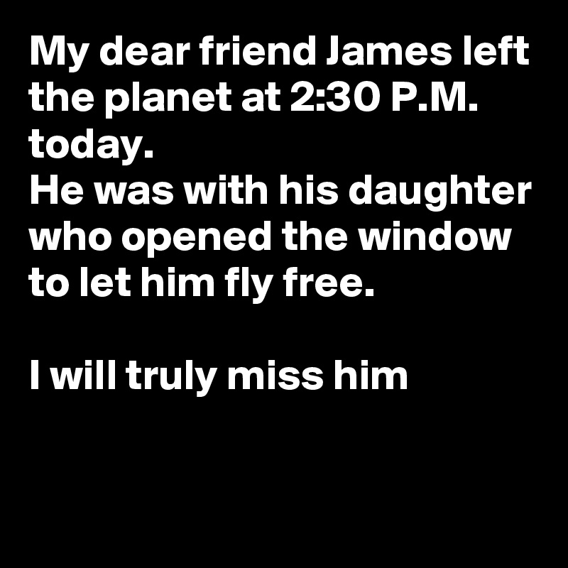 My dear friend James left the planet at 2:30 P.M. today.
He was with his daughter who opened the window to let him fly free.

I will truly miss him

