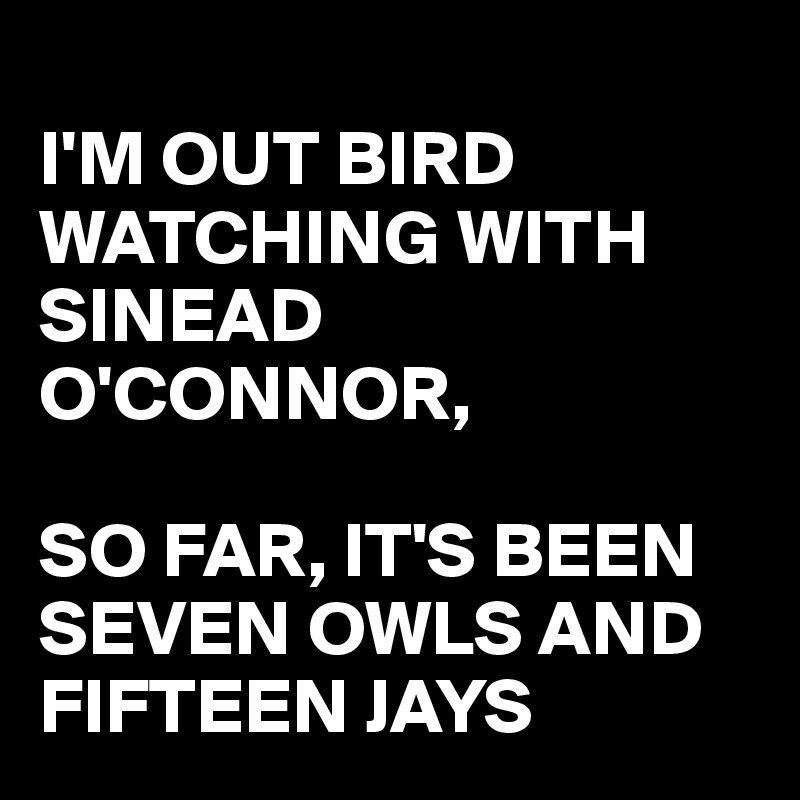 
I'M OUT BIRD WATCHING WITH 
SINEAD O'CONNOR,

SO FAR, IT'S BEEN SEVEN OWLS AND FIFTEEN JAYS 