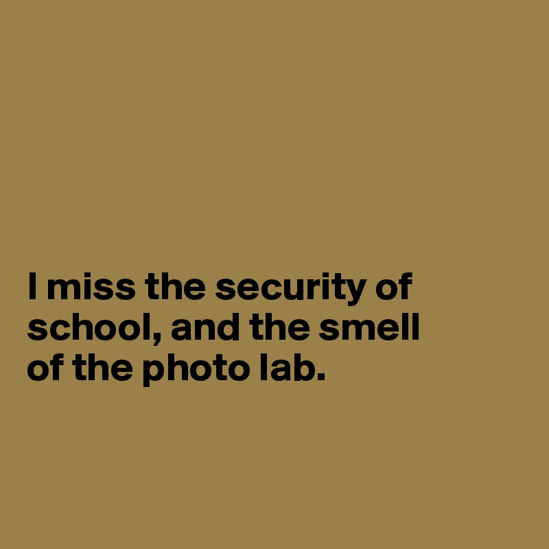 





I miss the security of school, and the smell 
of the photo lab. 


