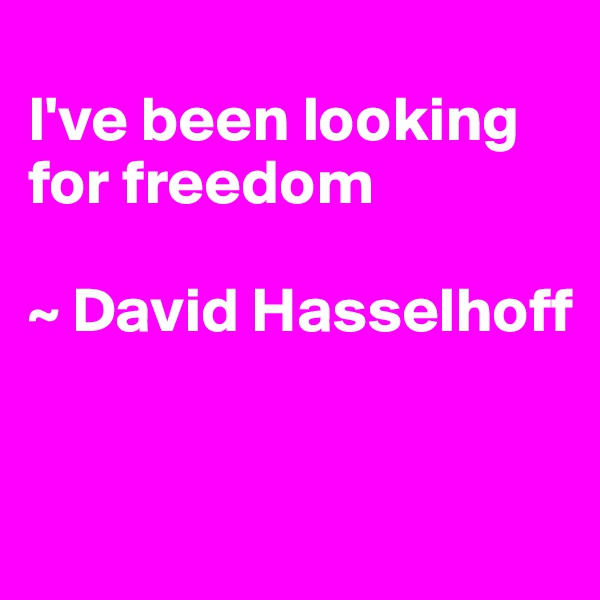 
I've been looking for freedom

~ David Hasselhoff


