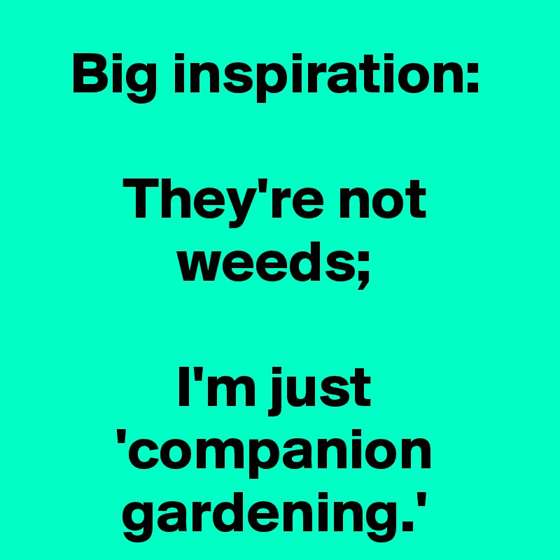 Big inspiration:

They're not weeds;

I'm just 'companion gardening.'