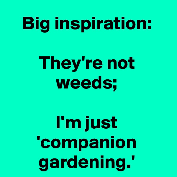 Big inspiration:

They're not weeds;

I'm just 'companion gardening.'