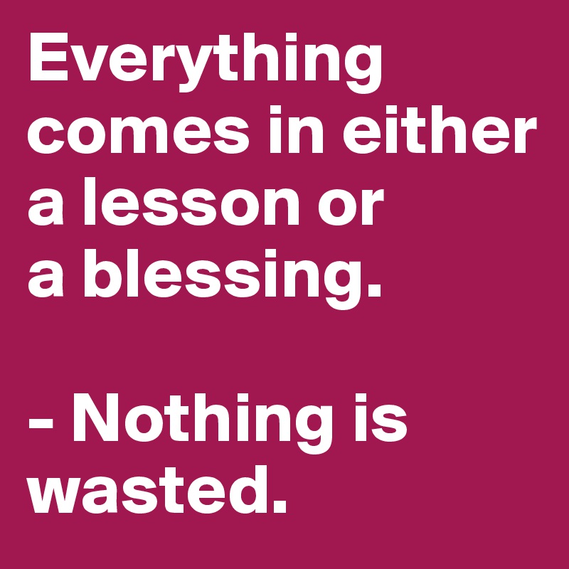 Everything comes in either a lesson or 
a blessing.

- Nothing is wasted.