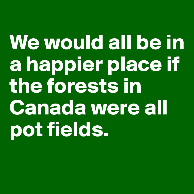 
We would all be in a happier place if the forests in Canada were all pot fields.

