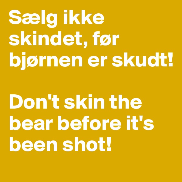Sælg ikke skindet, før bjørnen er skudt!

Don't skin the bear before it's been shot!