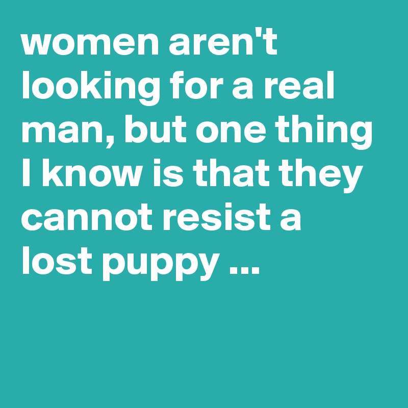 women aren't looking for a real man, but one thing I know is that they cannot resist a lost puppy ...

