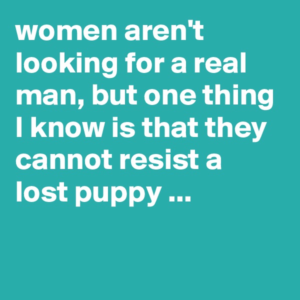 women aren't looking for a real man, but one thing I know is that they cannot resist a lost puppy ...


