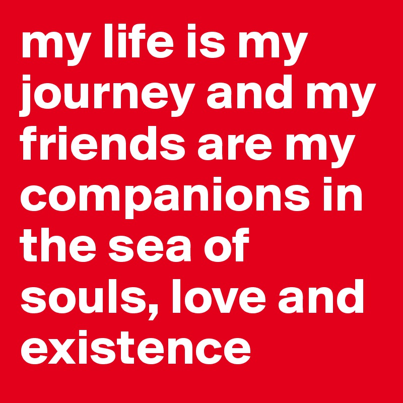 my life is my journey and my friends are my companions in the sea of souls, love and existence