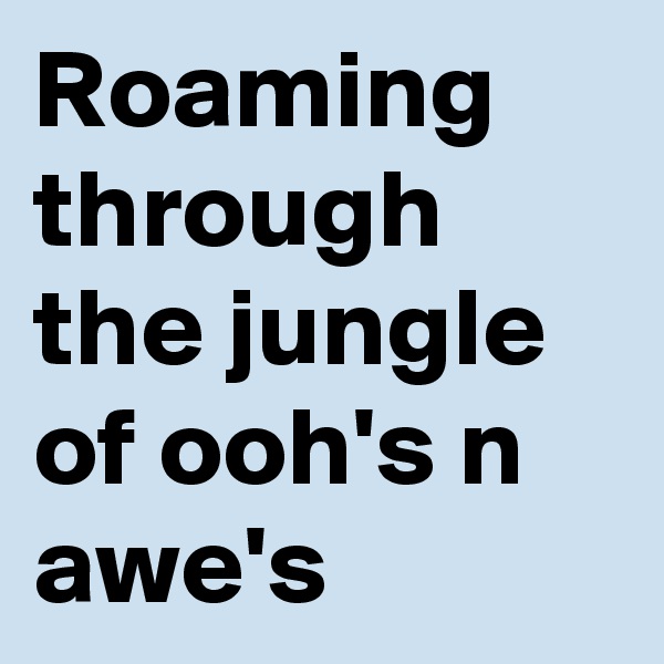 Roaming through the jungle of ooh's n awe's