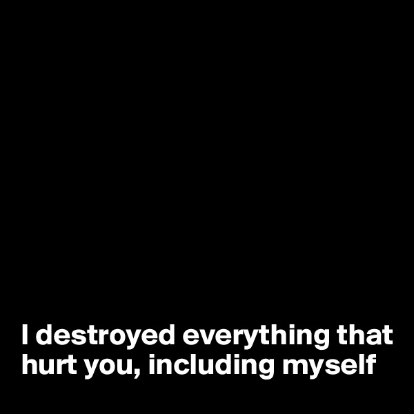 









I destroyed everything that hurt you, including myself