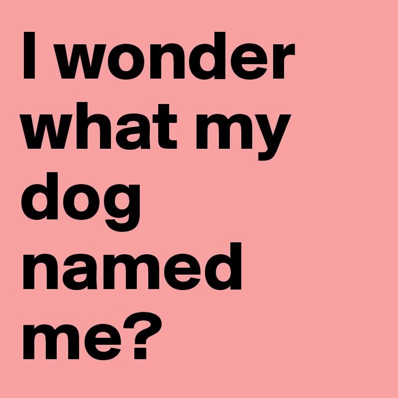 I wonder what my dog named me?