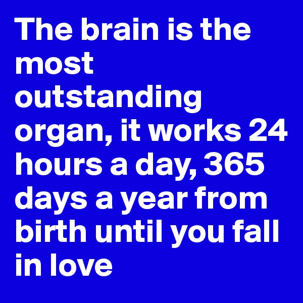 The brain is the most outstanding organ, it works 24 hours a day, 365 days a year from birth until you fall in love