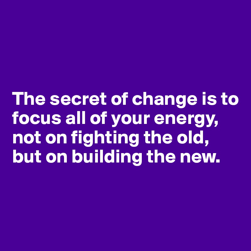 



The secret of change is to focus all of your energy, not on fighting the old, but on building the new.



