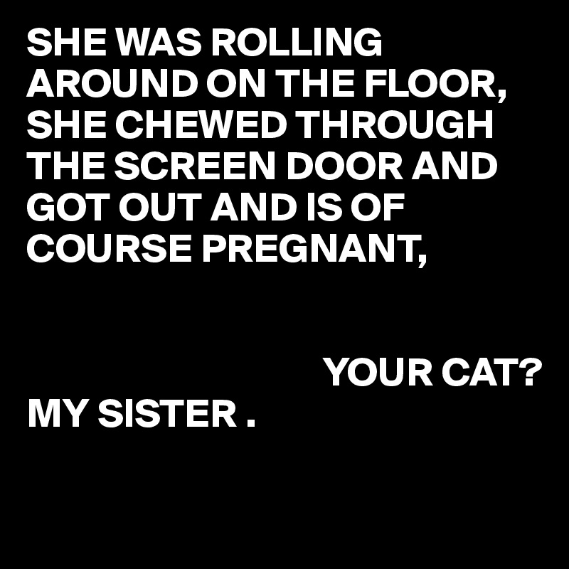 SHE WAS ROLLING AROUND ON THE FLOOR,
SHE CHEWED THROUGH THE SCREEN DOOR AND GOT OUT AND IS OF COURSE PREGNANT, 
     

                                    YOUR CAT?
MY SISTER .

