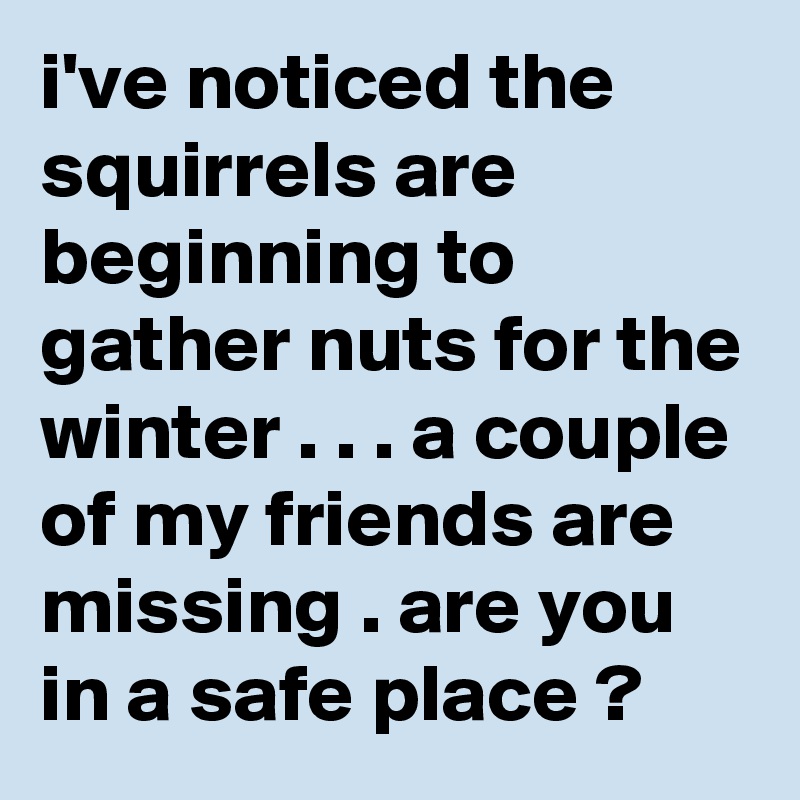 i've noticed the squirrels are beginning to gather nuts for the winter . . . a couple of my friends are missing . are you in a safe place ?