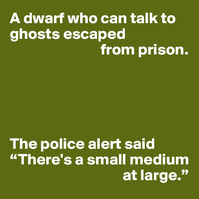 A dwarf who can talk to ghosts escaped
                             from prison.





The police alert said “There's a small medium
                                    at large.”