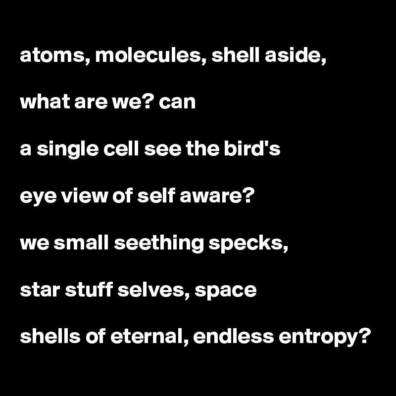 
atoms, molecules, shell aside,

what are we? can 

a single cell see the bird's 

eye view of self aware?

we small seething specks, 

star stuff selves, space 

shells of eternal, endless entropy?  