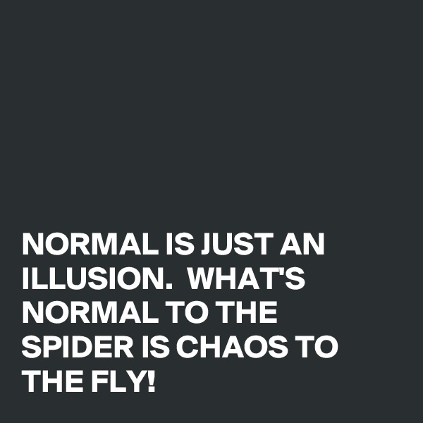 





NORMAL IS JUST AN ILLUSION.  WHAT'S NORMAL TO THE SPIDER IS CHAOS TO THE FLY!