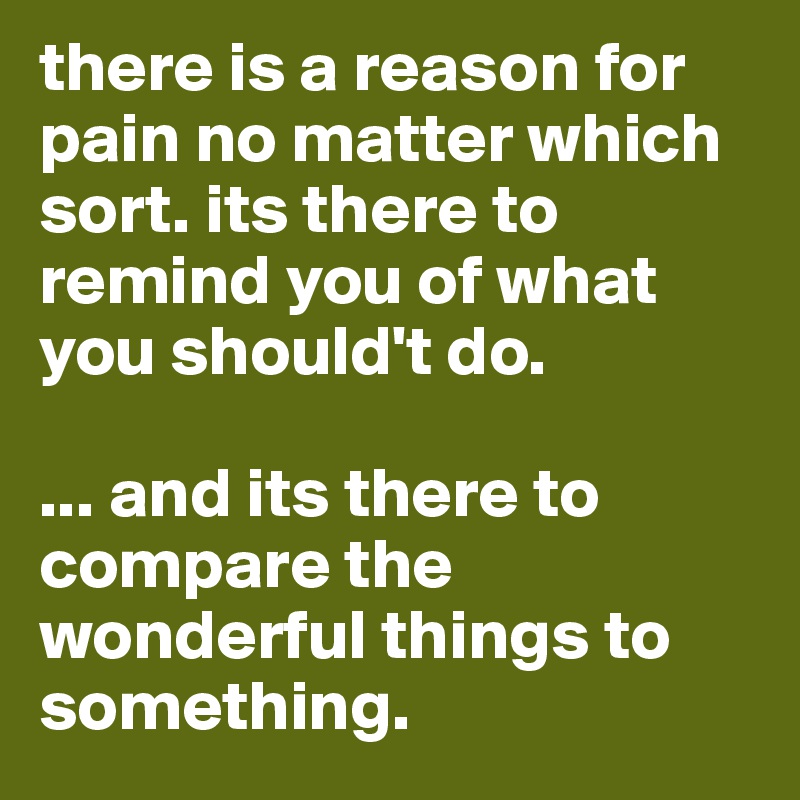 there is a reason for pain no matter which sort. its there to remind you of what you should't do. 

... and its there to compare the wonderful things to something.