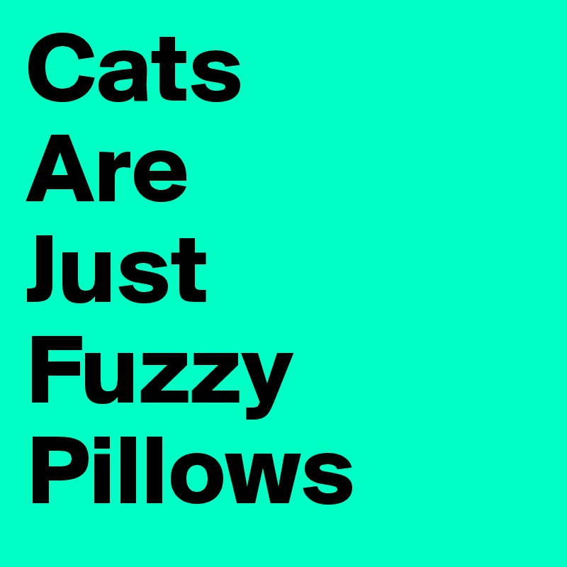 Cats 
Are 
Just
Fuzzy 
Pillows