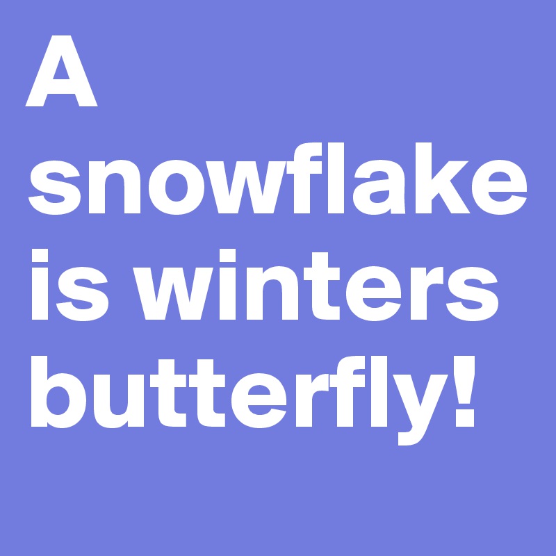 A snowflake is winters butterfly! 