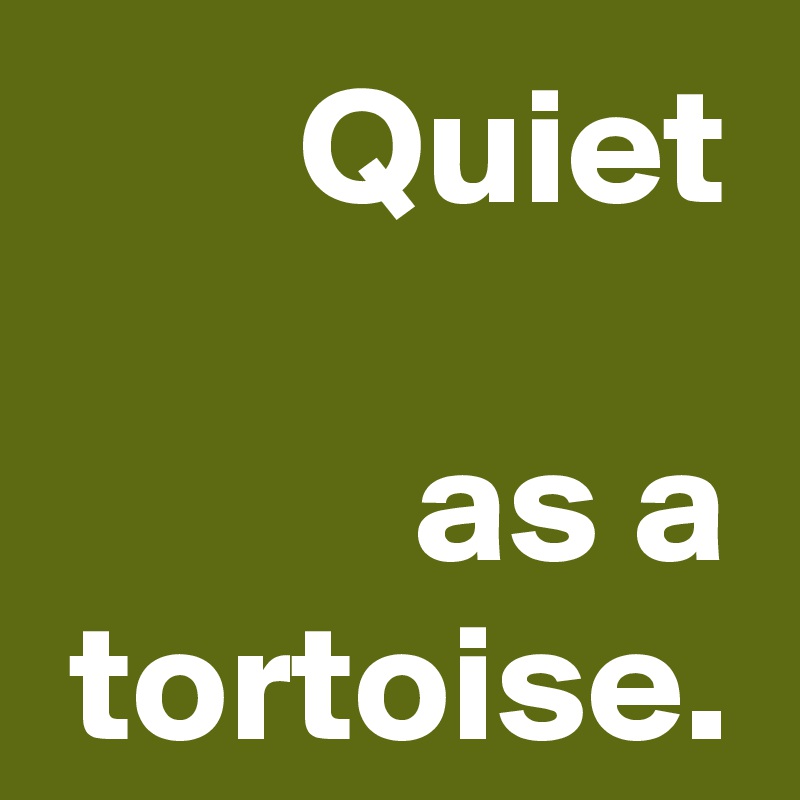 Quiet

as a tortoise.