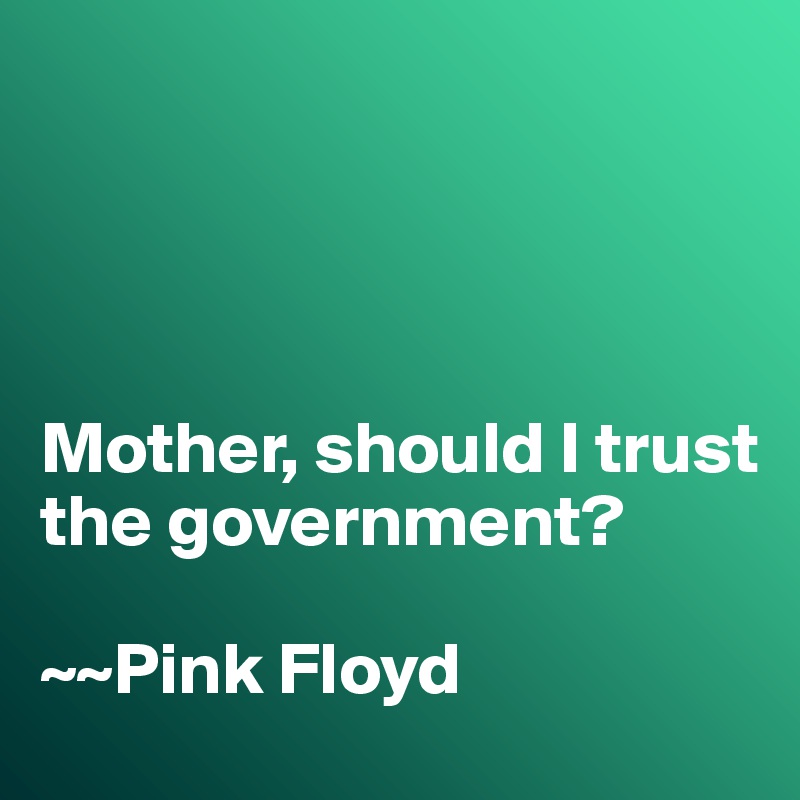 




Mother, should I trust the government?

~~Pink Floyd