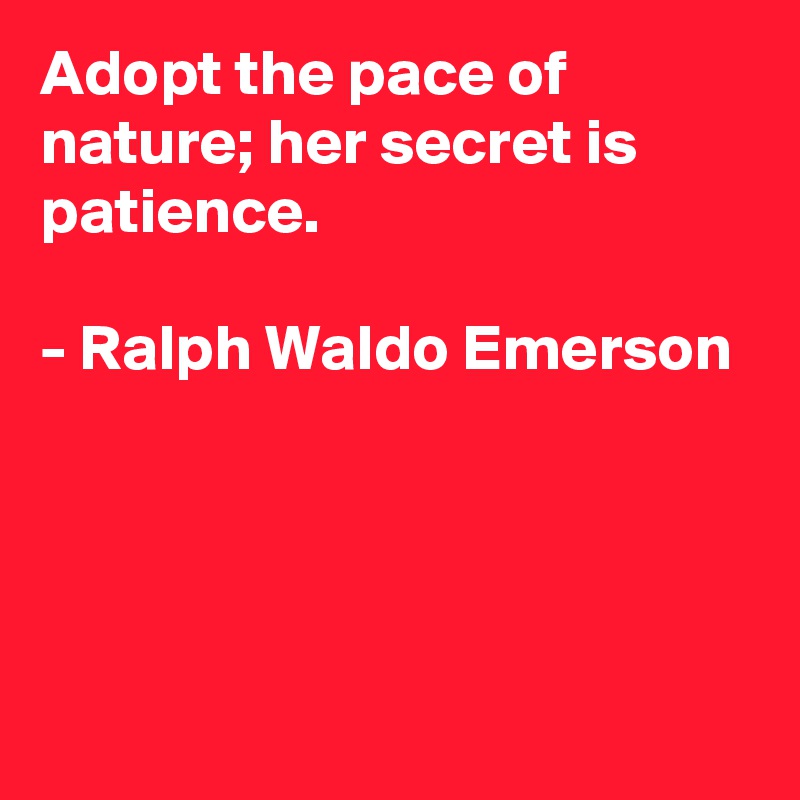 Adopt the pace of nature; her secret is patience.

- Ralph Waldo Emerson




