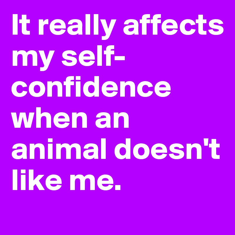 It really affects my self-confidence when an animal doesn't like me.