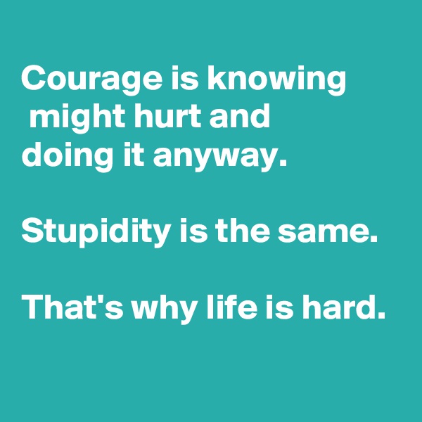 
Courage is knowing 
 might hurt and 
doing it anyway.

Stupidity is the same.

That's why life is hard.
