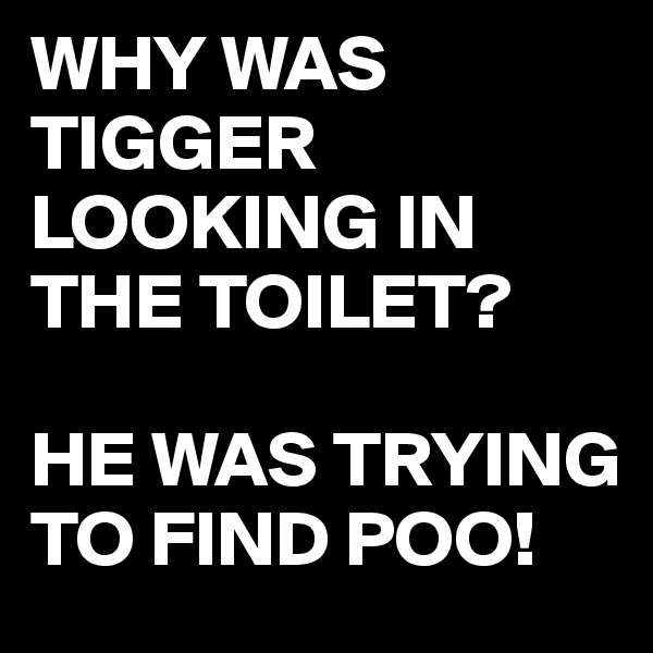 WHY WAS TIGGER LOOKING IN THE TOILET?

HE WAS TRYING TO FIND POO!
