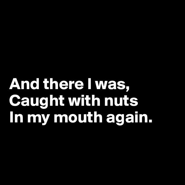 



And there I was,
Caught with nuts
In my mouth again.



