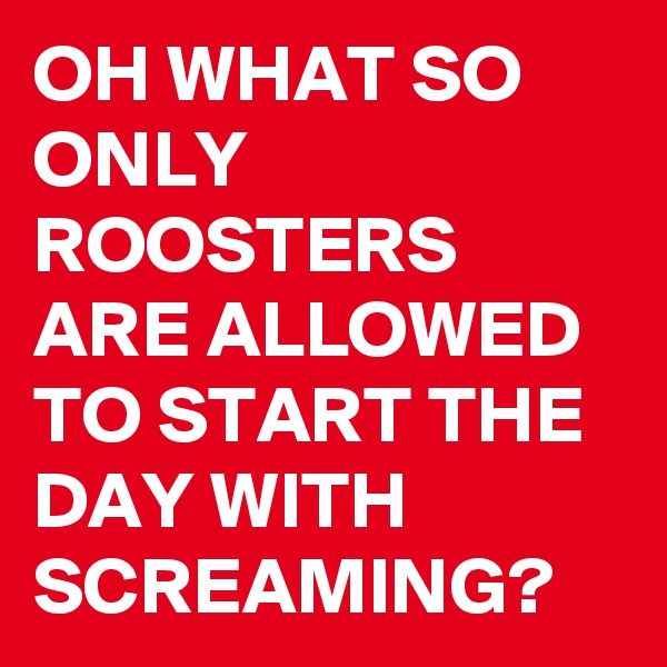 OH WHAT SO ONLY ROOSTERS ARE ALLOWED TO START THE DAY WITH SCREAMING?