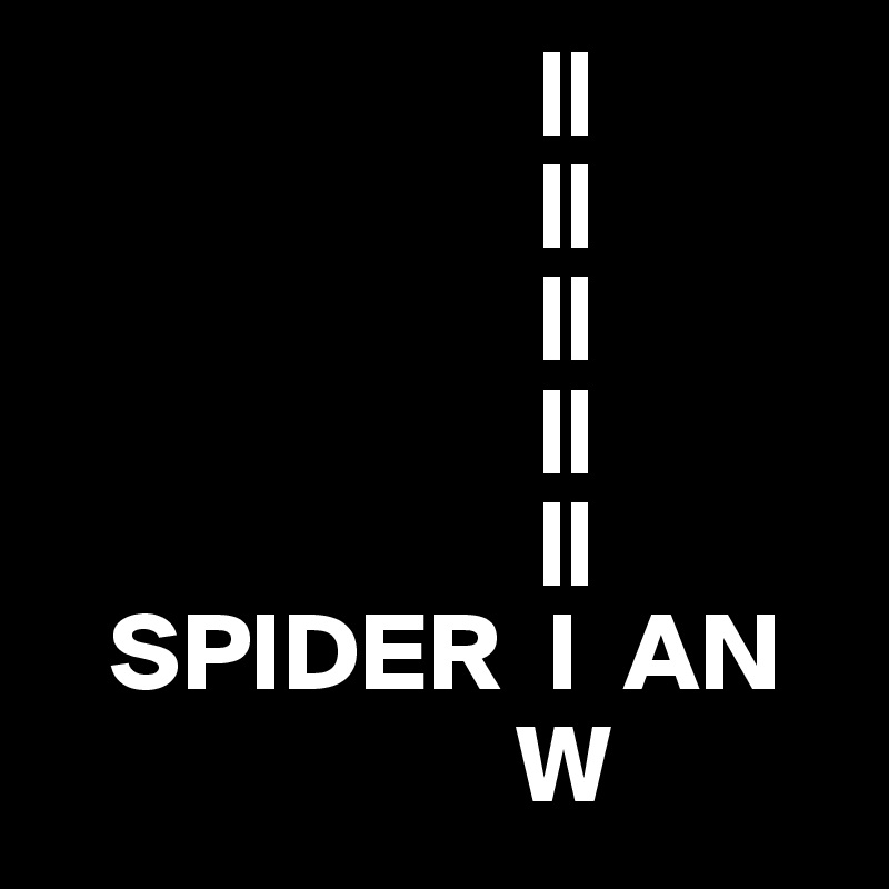                      ||
                      ||
                      ||
                      ||
                      ||
   SPIDER  I  AN
                     W