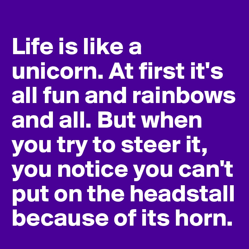 
Life is like a unicorn. At first it's all fun and rainbows and all. But when you try to steer it, you notice you can't put on the headstall because of its horn.