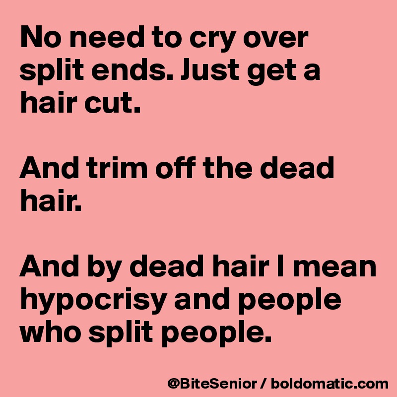 No need to cry over split ends. Just get a hair cut. 

And trim off the dead hair. 

And by dead hair I mean hypocrisy and people who split people. 