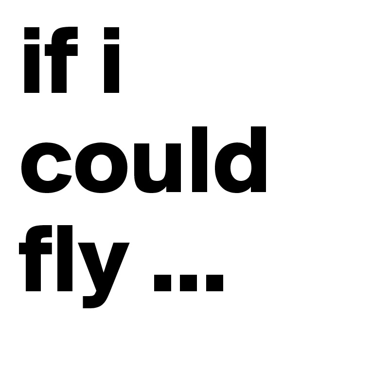 if i could fly ...
