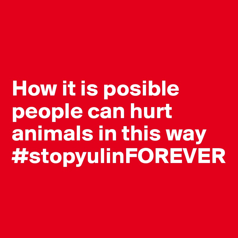 


How it is posible people can hurt animals in this way
#stopyulinFOREVER

