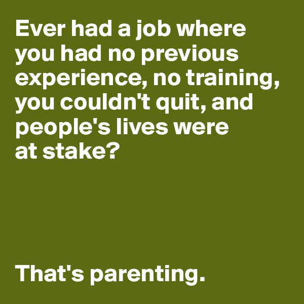 Ever had a job where
you had no previous experience, no training, you couldn't quit, and
people's lives were
at stake?




That's parenting.