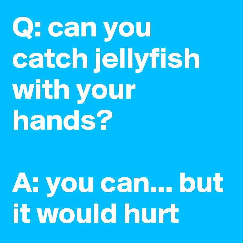 Q: can you catch jellyfish with your hands?

A: you can... but it would hurt