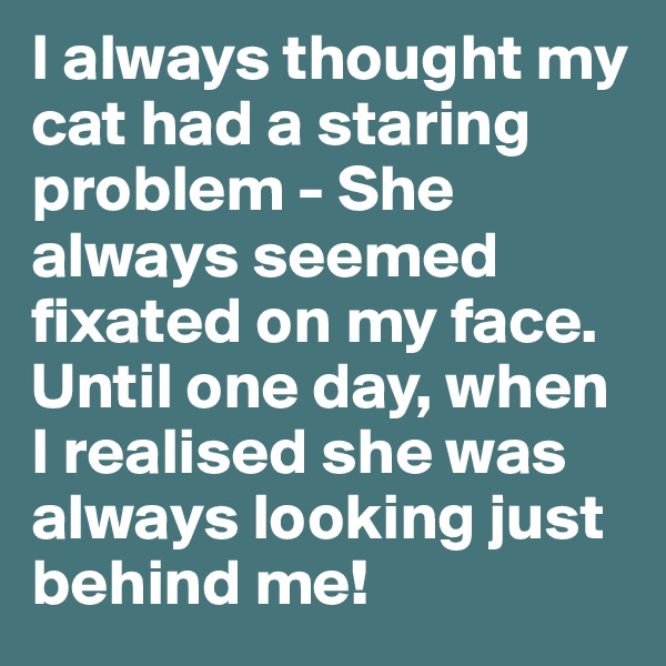 I always thought my cat had a staring problem - She always seemed fixated on my face. Until one day, when I realised she was always looking just behind me!