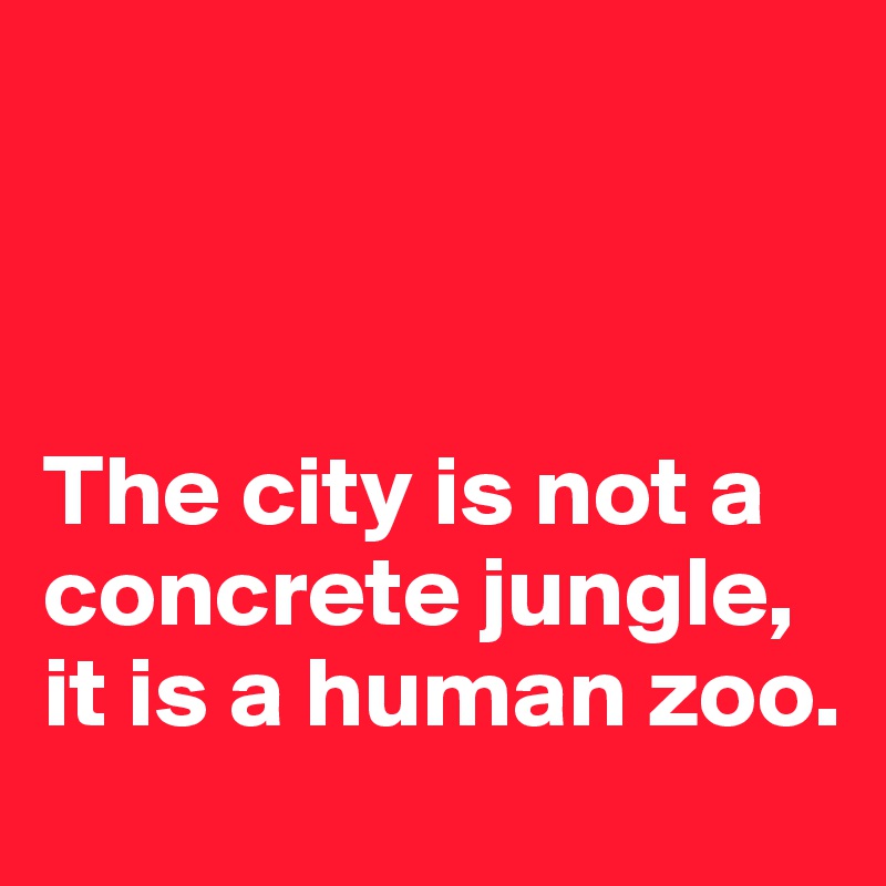 



The city is not a concrete jungle, it is a human zoo.